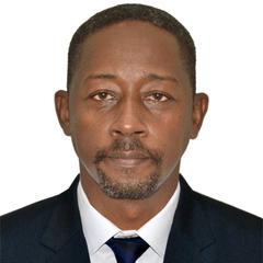 Abubakr Abdelgadir Osman, Accounting Manager