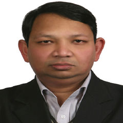 Dhaneshwar  Mishra, Senior Researcher