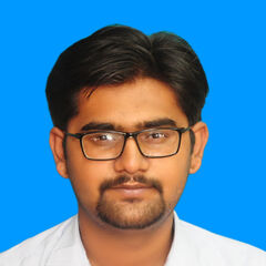 Syed Muhammad Mughees