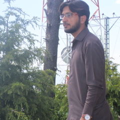Faizan Rasheed Qureshi, Executive Coordinator 