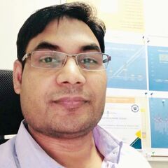 Mithilesh Kumar  Yadav, Database Administrator