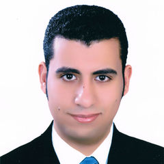 Bassem Mostafa Ali Elbosaty