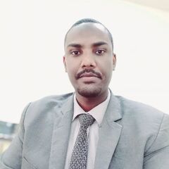 Abdalrahim Ahmed  Gissmalla Mustufa, data analyst 