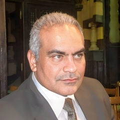 Mohamed Elsallanty