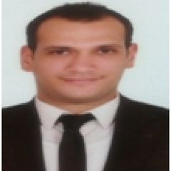 عمرو حسن, Telecom Project Engineer