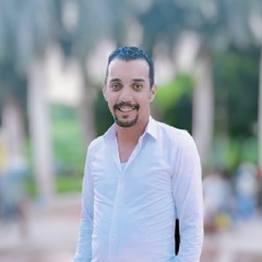 Ahmed Elzanaty, wholesale professional