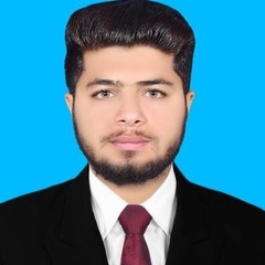 Hussnain  Manzoor 