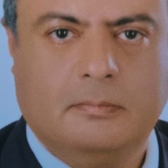 محمد ابو الغيط 