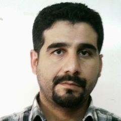 إبراهيم ابراهيم, MEP Project Manager