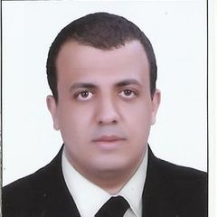 Ahmed Abdallah Ibrahim shoeib, 