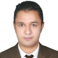 محمود حمدي محمود  خليل, مدير منطقة مبيعات