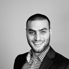 Omar Shalaby CPA, BANKING ANALYST
