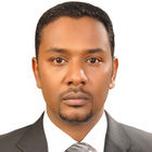 محمد عثمان محمد الخير, Sales Manager