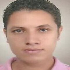 حسن عبد السميع شريف, technical support 