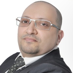 Ahmed Ramy Mansour, Financial Controller