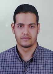 Mostafa Abd El-Moniem Mohammed Hussien, HSE Section Head 