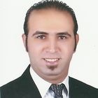 محمود محمد فهمى الحفناوى, Media consultant manager