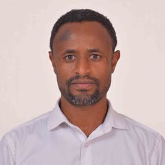 Muluneh Bimrew Tarekegn, Engineering Coordinator, Project manager, Team Leader, and construction Engineer