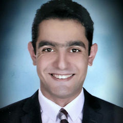 Mahmoud Mohamed Eid Youssef, Procurement Section Head Engineer