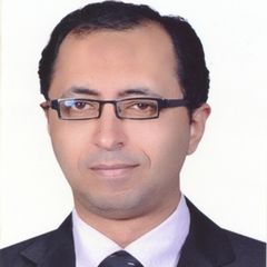 Amir Sherif, Senior Business Intelligence Developer