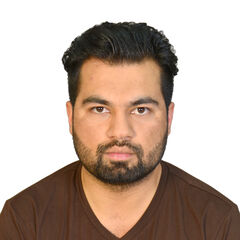 عمران خان, Document Controller / Draftsman