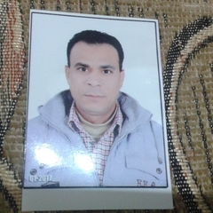 Helmy Mohamed Helmy Ayousha