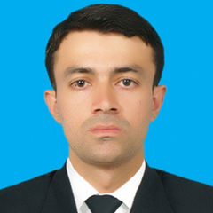 Ziauddin Zia, Software Engineer
