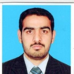 MUHAMMAD WASEEM, Statistical Assistant