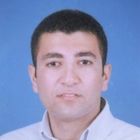 Waleed Mahmoud Madkour