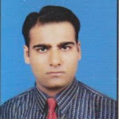 Muhammad Rizwan Ali - Senior Accountant - Bayt.com People