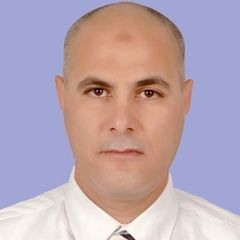 Ahmed Rady, IT Manager