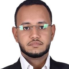 أحمد محمد الهادي احمد عكاشه Akasha, MEP Project Engineer