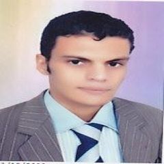 mohammed fathy El-Sayed, محاسب عام
