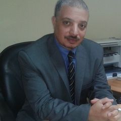 Ehab Ali, Financial Manager
