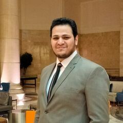 علي رشدي, Software Project Manager