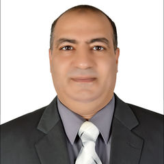 وليد سيد اسماعيل عبد الباقى, نائب مدير تنفيذي