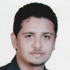 أحمد حسن, area sales manager