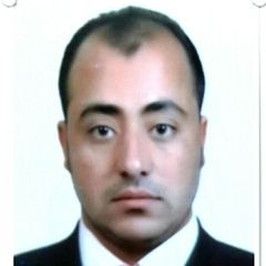 محمود أبو السعود, surveyor