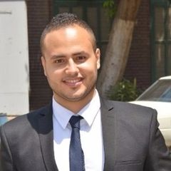 طارق جمال محمد حسنى, Planning Engineer