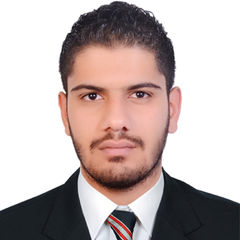 osama albreem