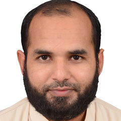 Muhammad Ikram Anwar, Postdoctoral research fellow