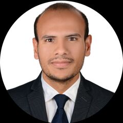 محمد صلاح, Civil Project Engineer