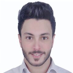 أيمن رمضان, Sales representative 
