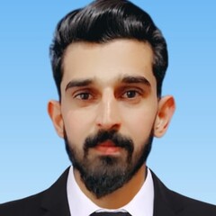 Umar Mushtaq, Software Developer