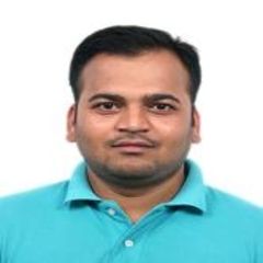 Avinash Kapse, Technical Lead