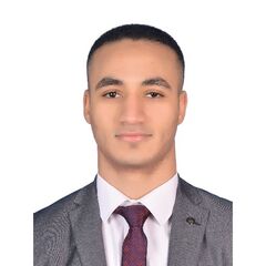 سيف الدين  عبده, accountant