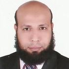 Nasr Eldin Alregalaty, مدرس لغة عربية وتربية إسلامية