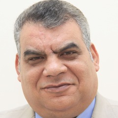 أحمد Abdel Baki, IT Manager and Data Anylsits 