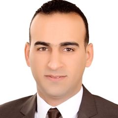 Ahmed Abd eL Fattah El Samalegy,  Business Development Manager