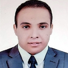 Mohammed  Ahmed Sayed 